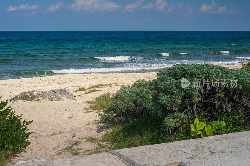 Isla Mujeres的自然景观